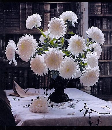 Byureghapakya Dzaghkamane-0