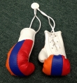 Tri-Color Armenia Mini Boxing Gloves-3143
