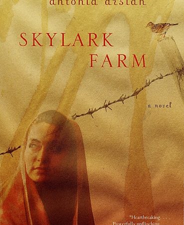Skylark Farm-0